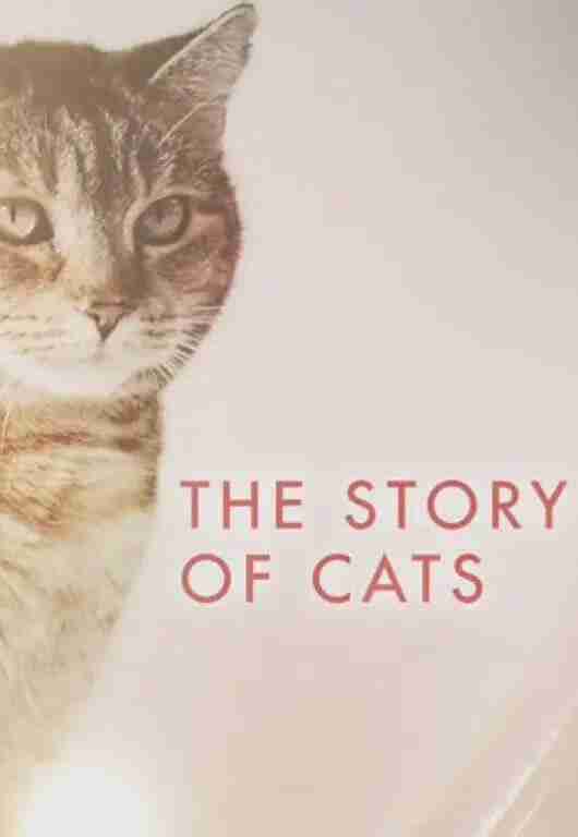 猫科动物的故事 The Story of Cats (2016)