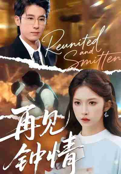 【短剧】再见钟情(100集全集)林枫松&吴毅非