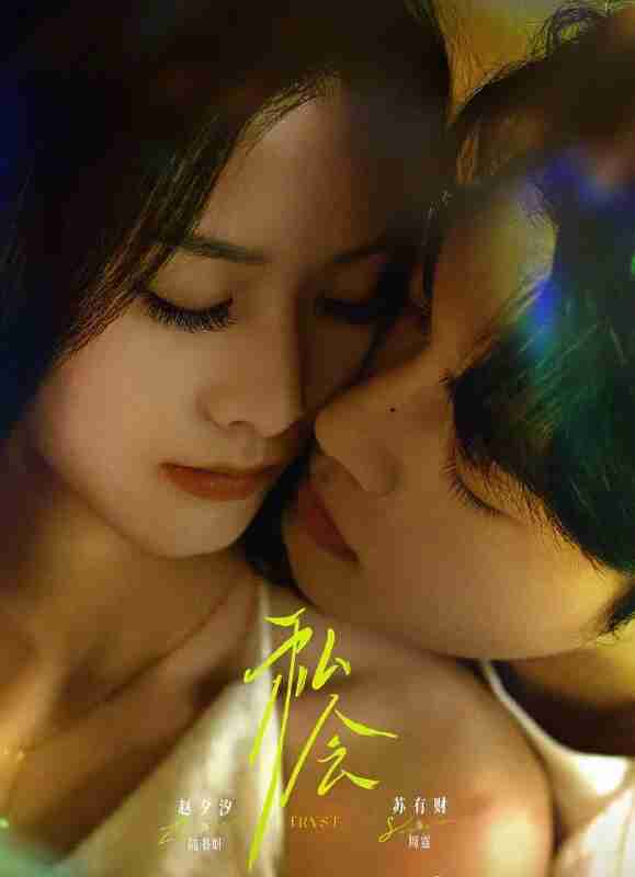 【短剧】私会（63集全集）苏有财＆赵夕汐