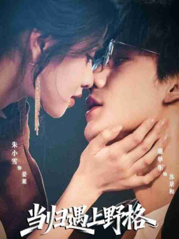 【短剧】当归遇上野格(66集全集)鹿单东&朱小雪