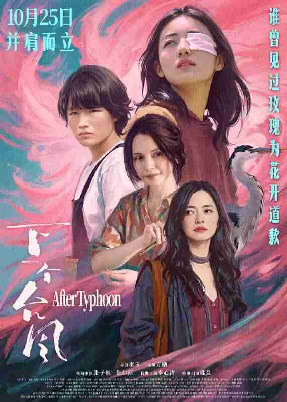 下一个台风 (2025)剧情 张子枫 张伟丽 李心洁 姚晨 4KHQ60FPS DV HDR