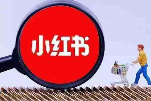 小红书训练营一起成为賺钱的博主,小红书是最适合普通人的风口