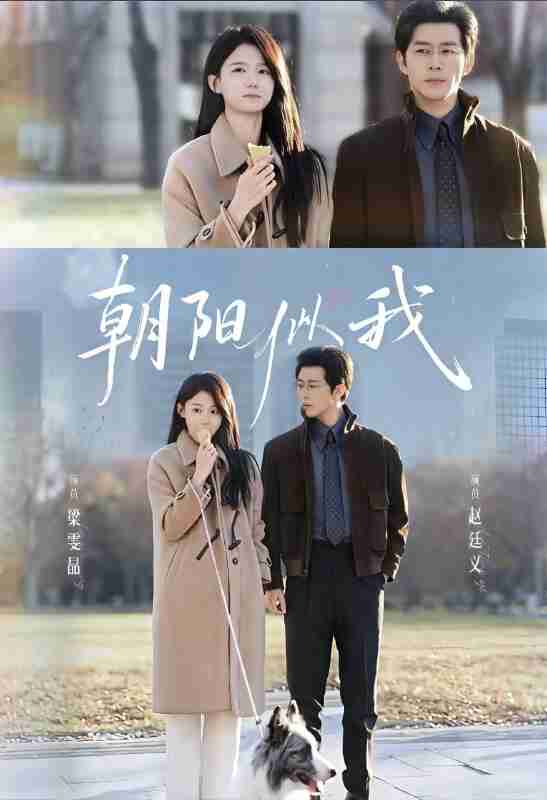 【短剧】朝阳似我(81集全集)赵廷义&梁雯晶