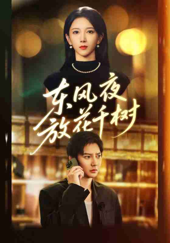 【短剧】东风夜放花千树&＆燕西误尽瑶台月（91集全集）白羽&高明君