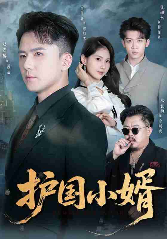 【短剧】护国小婿(60集全集)李佳轩&赵志盟