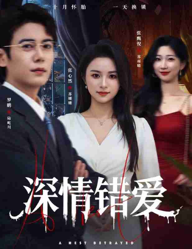 【短剧】深情错爱&鸠占鹊巢(45集全集)罗鹏&张心然