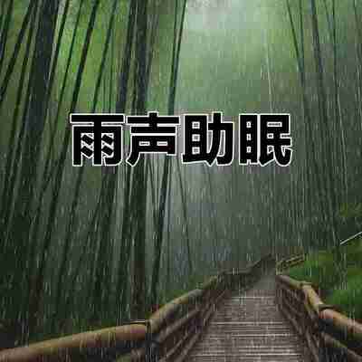 【有声】助眠白噪音