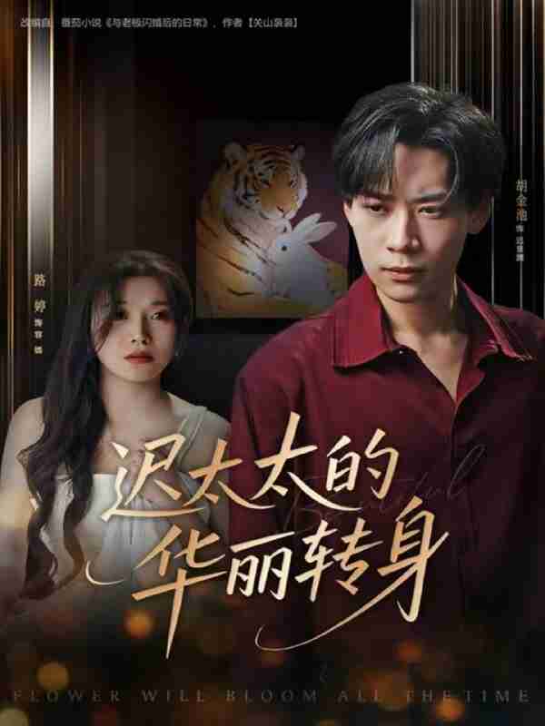 【短剧】迟太太的华丽转身（80集全集）胡金池＆路婷