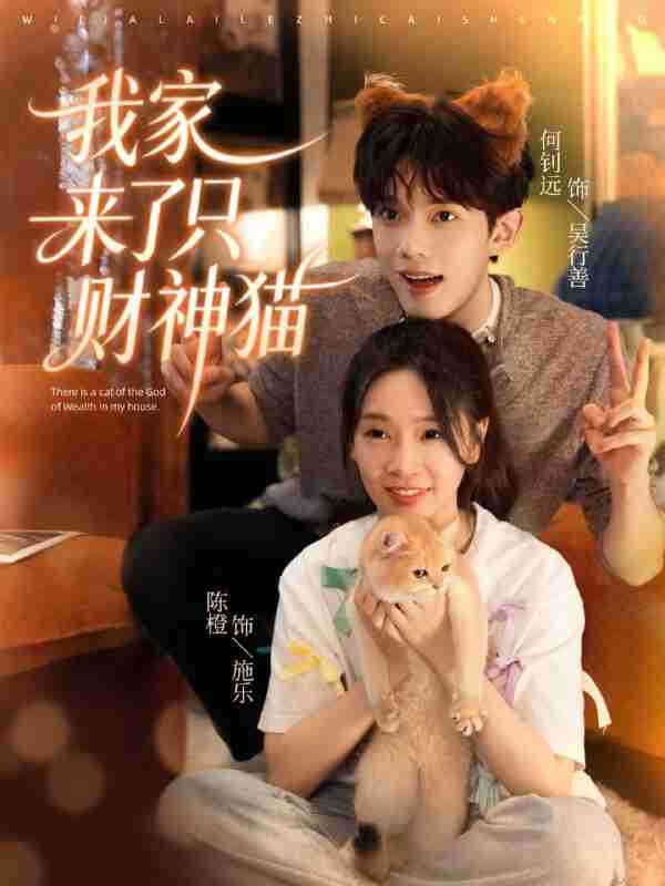 【短剧】我家来了只财神猫(80集全集)何钊远&陈橙