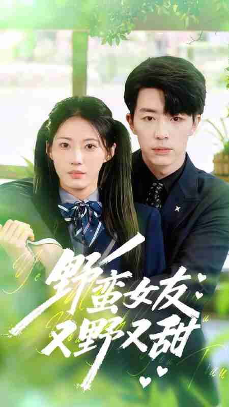 【短剧】野蛮女友又野又甜(100集全集)大宝&王熳熳