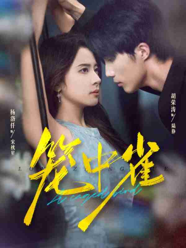 【短剧】笼中雀(65集全集)胡荣涛&杨洛仟