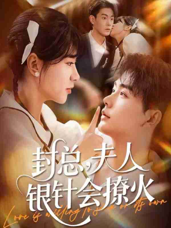 【短剧】封总,夫人银针会撩火(69集全集)张昊&徐海文