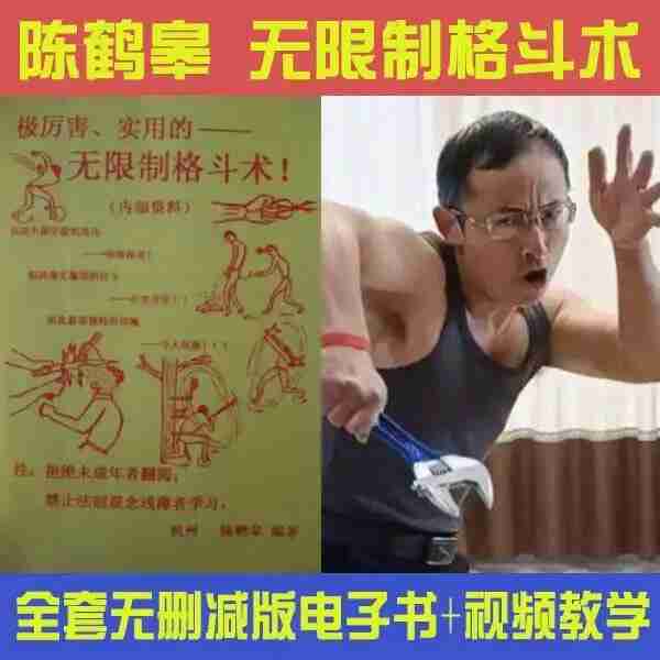 陈鹤皋无限制格斗《 一切为了实战而练》+训练视频