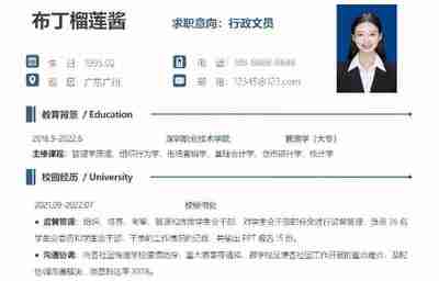 HR最喜欢的100个满分简历模板