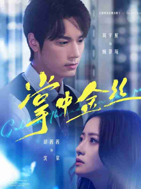 【短剧】掌中金丝&长姐她竟是隐藏大佬(60集全集)周宇航&胡茜茜