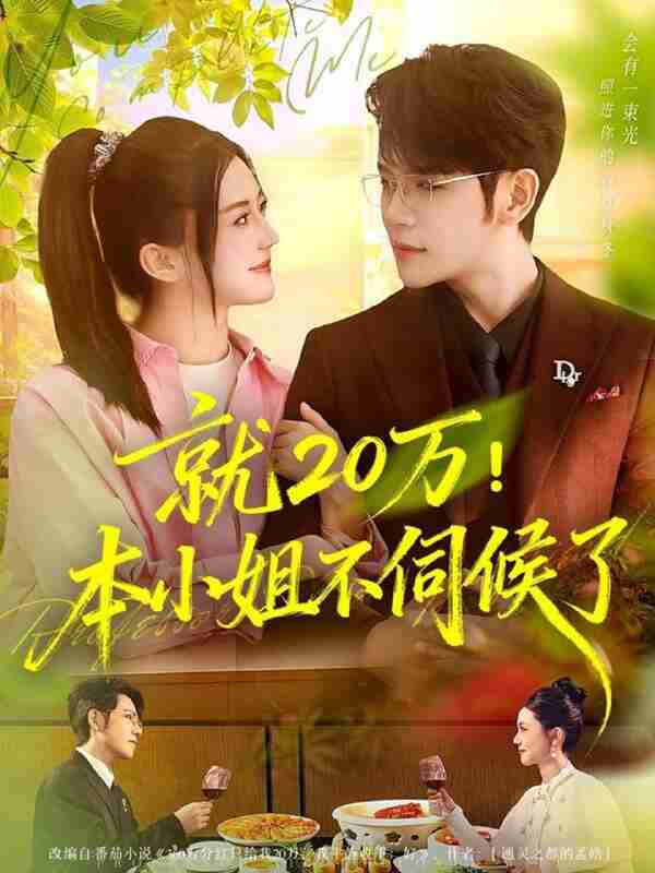 【短剧】就20万！本小姐不伺候了（60集全集）杨彦光＆李家圆子