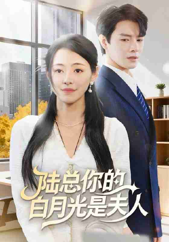 6947fbeaa2509.jpg (560×800)