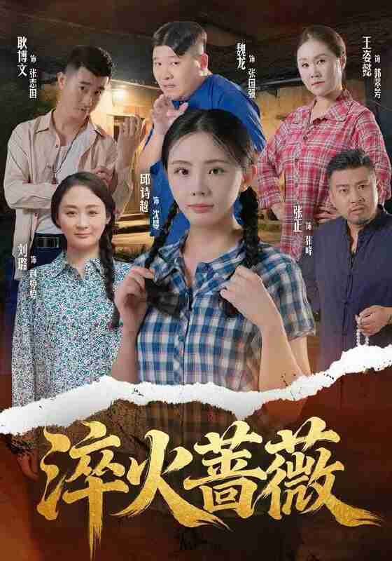 【短剧】淬火蔷薇（50集全集）邱诗越&张正&魏龙