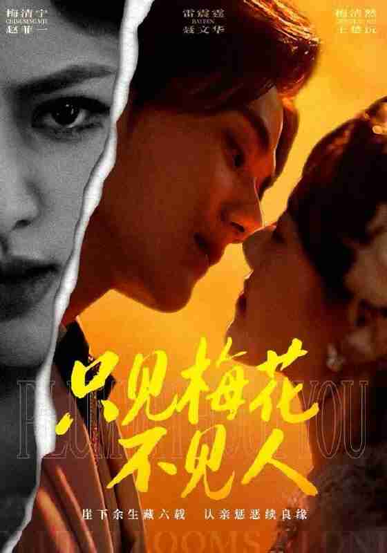 【短剧】只见梅花不见人（63集全集）聂文华&王楚沅