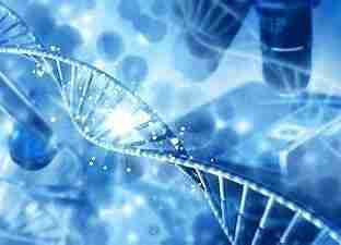 6948fed315ce1.jpg (312×225)