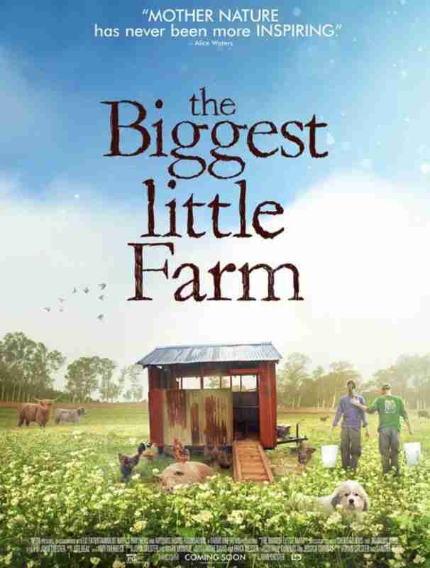 6949d85c5bc90.jpg (606×800)