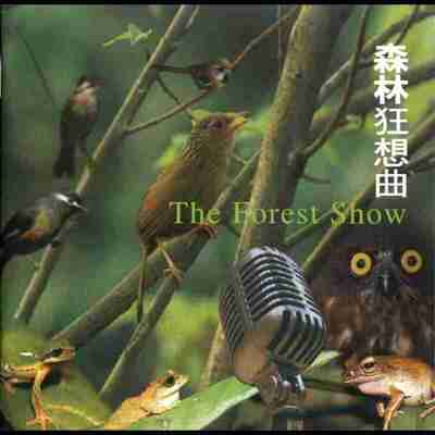 694b455dc5651.jpg (400×400)