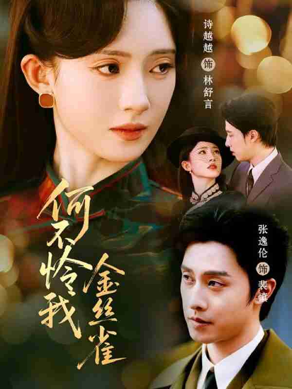 【短剧】何不怜我金丝雀（60集全集）张逸伦＆诗越越