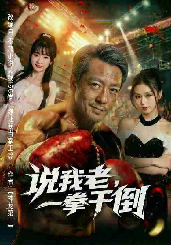 【短剧】说我老，一拳干倒（81集全集）李宗峄&金美希