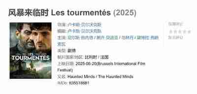 风暴来临时 Les tourmentés (2025)