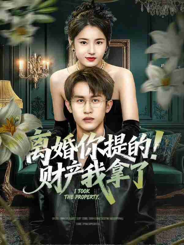 【短剧】离婚你提的！财产我拿了（63集全集）宋暖＆秦露露