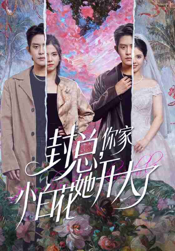 【短剧】封总,你家小白花她开大了&大佬你的牙粘口红了(60集全集)王朝阳&邓燕妮