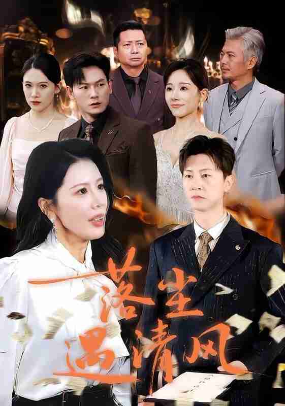 【短剧】落尘遇清风&离婚而已(74集全集)丁海霞&王鹏