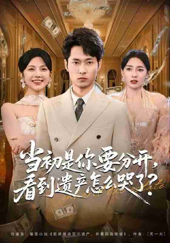 【短剧】当初是你要分开，看到遗产怎么哭了？（70集全集）霍俊全＆金珊＆曹瑶佳