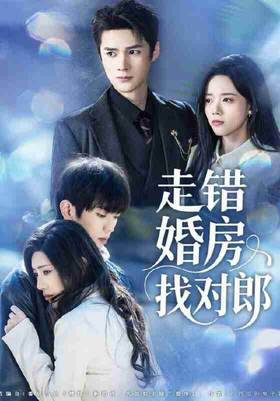 【短剧】走错婚房找对郎（50集全集）刘辰锐＆刘艺然