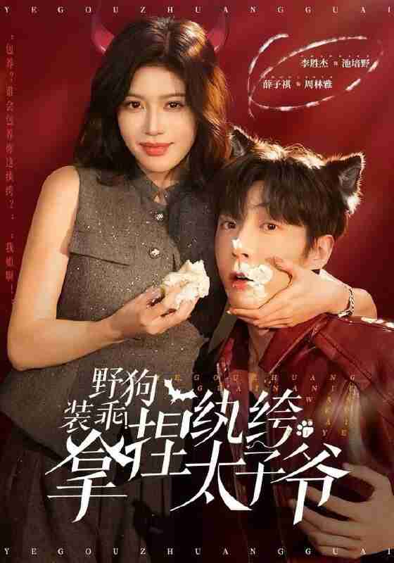 694fa41cc6d35.jpg (560×800)