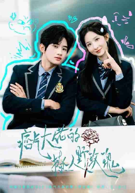 【短剧】痞气大佬的撩人野玫瑰（80集全集）李悦暄&王浩宇