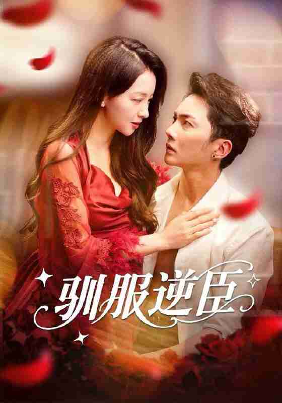 6951577e70d47.jpg (560×800)