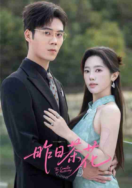 【短剧】昨日茶花（56集全集）许炎磊＆黄思宇