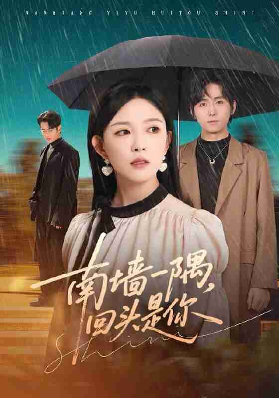 【短剧】南墙一隅,回头是你(61集全集)徐晨皓&葛晓希