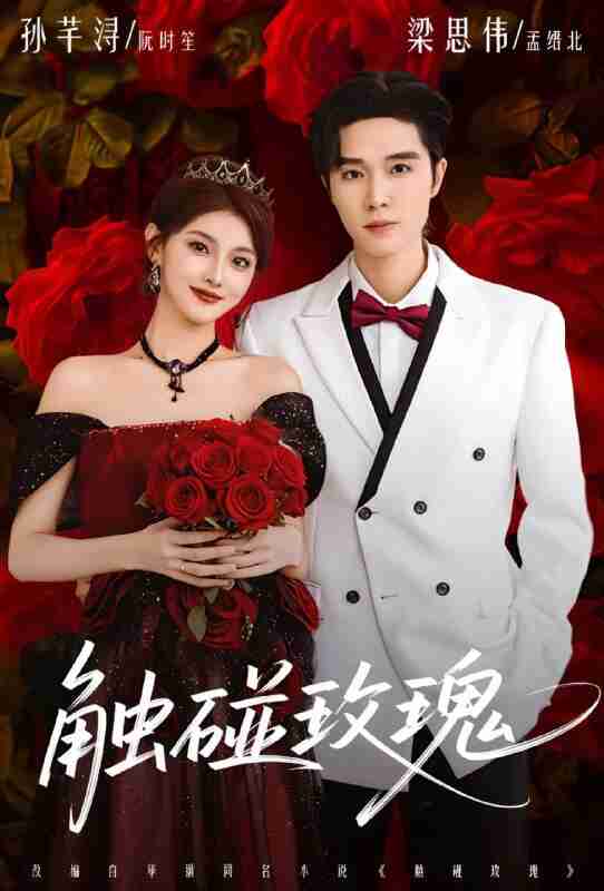 【短剧】触碰玫瑰（80集全集）梁思伟＆孙芊浔