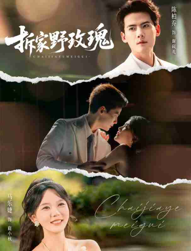 【短剧】拆家野玫瑰（80集全集）陈刚＆马乐婕