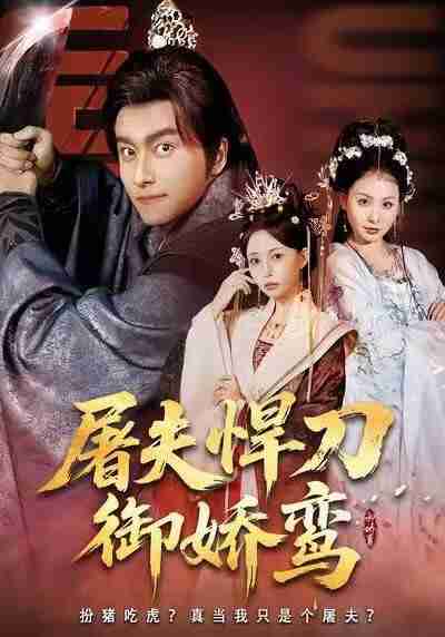 【短剧】屠夫悍刀御娇鸾（81集全集）王振＆苏凝