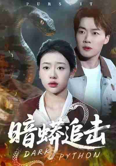 【短剧】暗蟒追击（35集全集）王盈心＆赵文硕