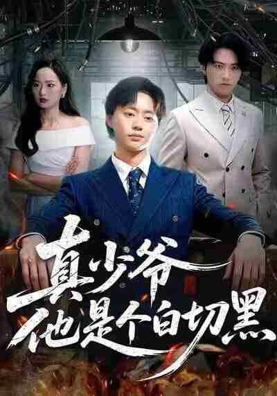 【短剧】真少爷他是个白切黑(75集全集)周翔&何嘉仪