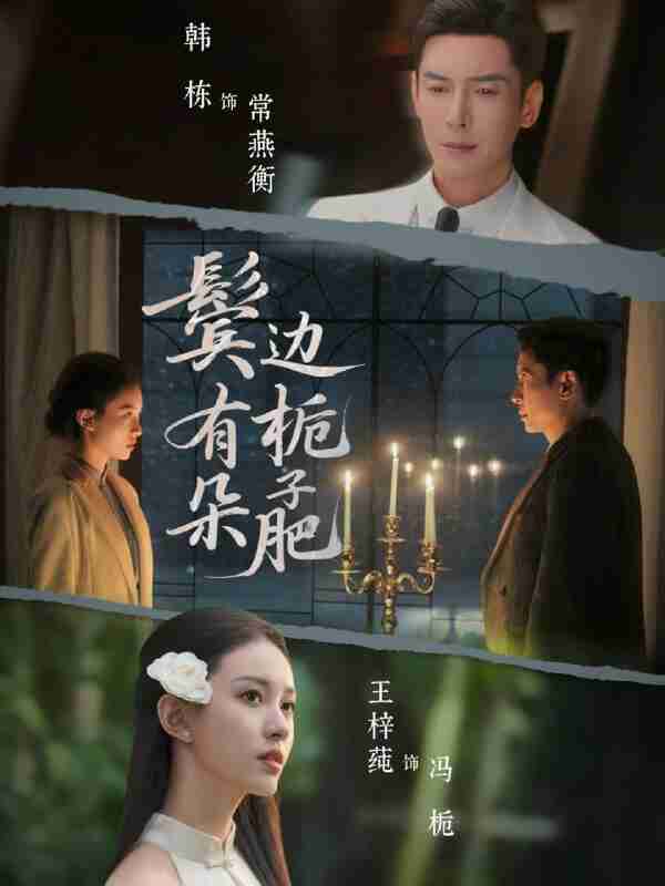 【短剧】鬓边有朵栀子肥（72集全集）韩栋＆王梓莼