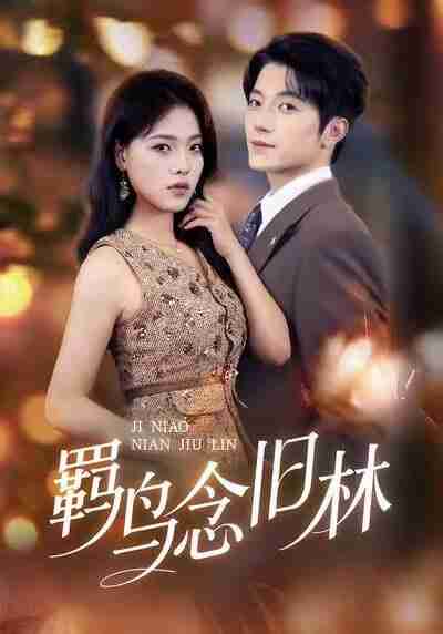 【短剧】羁鸟念旧林（60集全集）张宇轩＆江炘