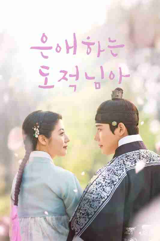 亲爱的盗贼大人 [内封简繁字幕][更新至01集]