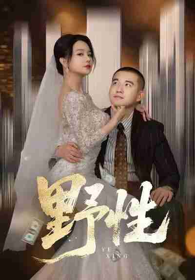 【短剧】野性＆分手后，顶头上司要嫁我（70集全集）阎论＆梦露