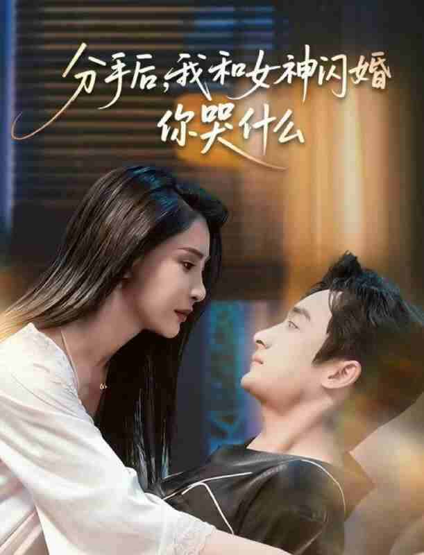 【短剧】分手后，我和女神闪婚你哭什么＆悲欢离合总无情（80集全集）王家霖＆许子吟