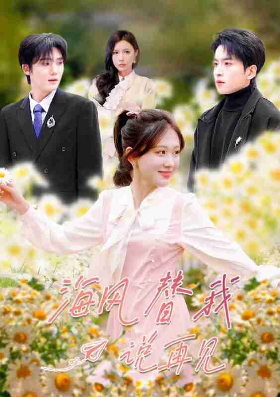 【短剧】海风替我说再见（80集全集）张昊旸＆柴慧欣